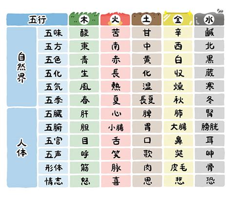 五行分類表|五行